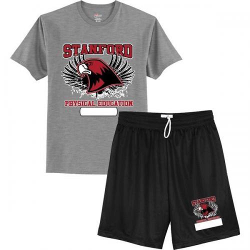 StanfordMS copy